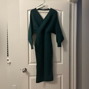 Petal and Pup Sweater Dress